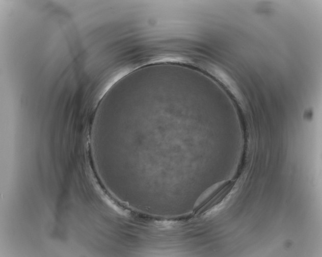 X0000092011377200709131526
