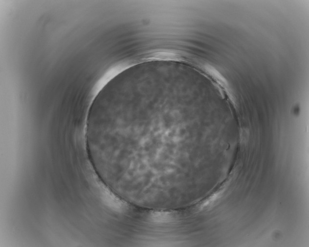 X0000092011378200709131526