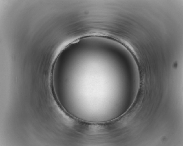 X0000092011379200709131526