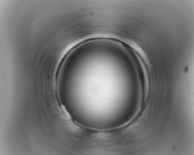 X0000092011380200709131526