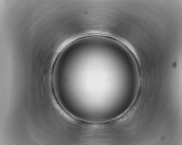 X0000092011381200709131526