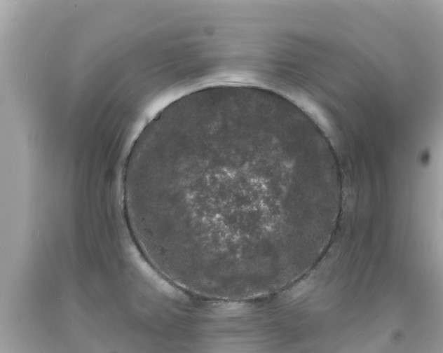 X0000092011382200709131526