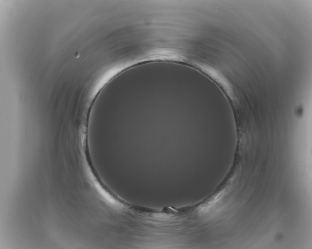 X0000092011383200709131526