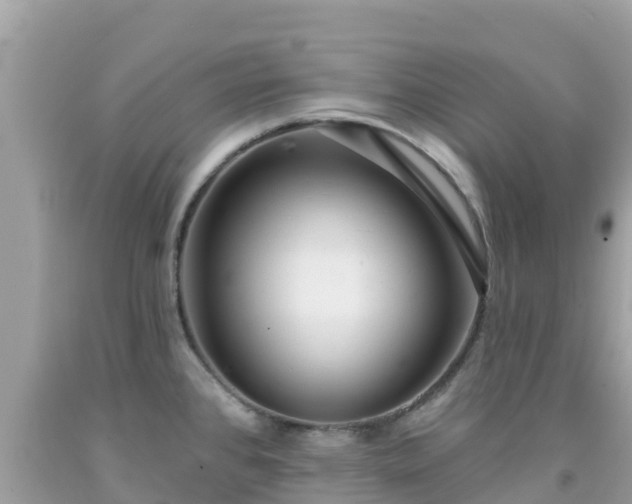 X0000092011384200709131526