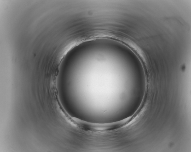 X0000092011385200709131526