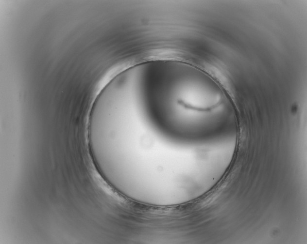 X0000092011386200709131526
