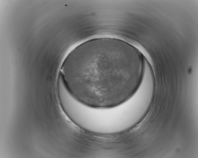 X0000092011388200709131526