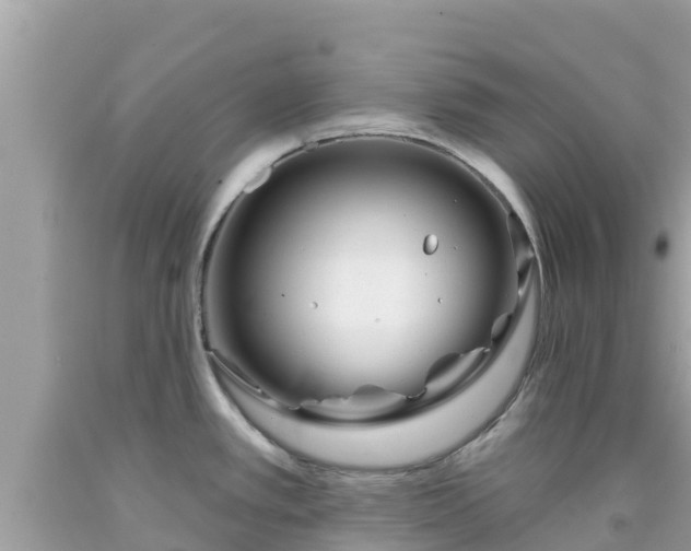 X0000092011389200709131525