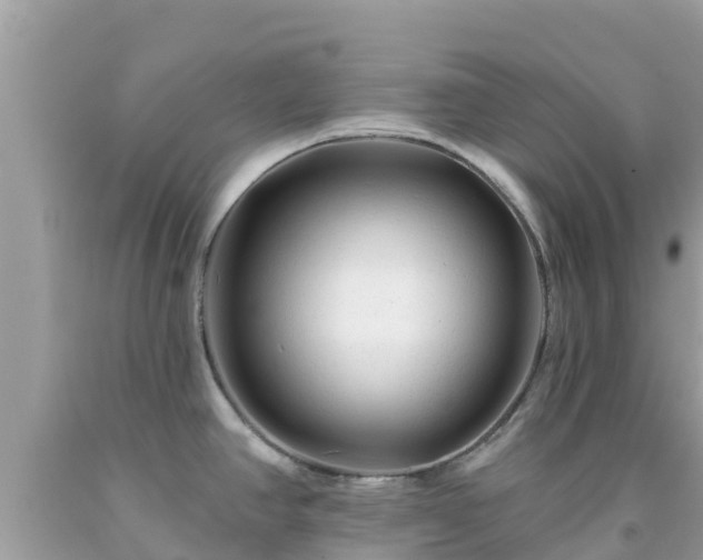 X0000092011390200709131525