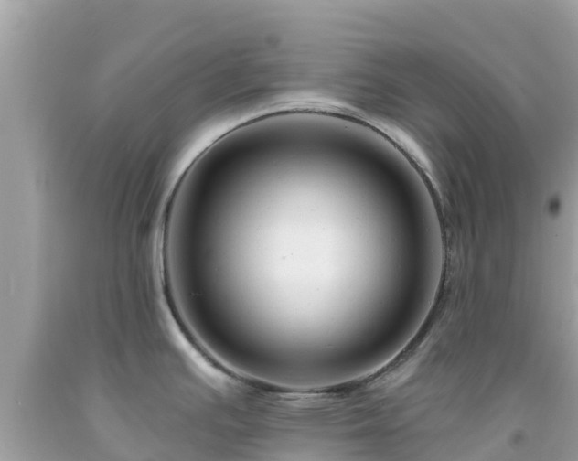 X0000092011391200709131525