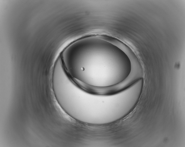 X0000092011392200709131525