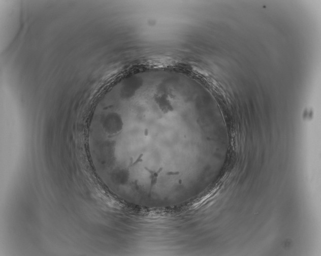 X0000092011393200709131525