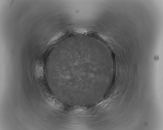 X0000092011394200709131525