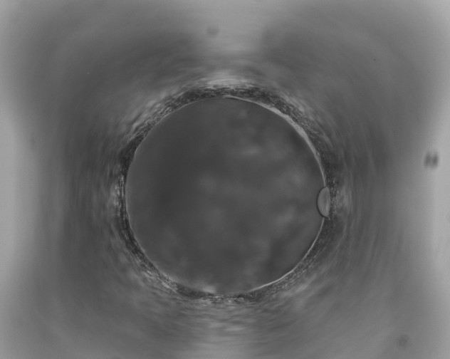 X0000092011397200709131525