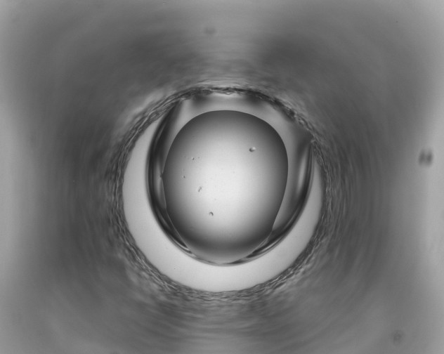 X0000092011398200709131525