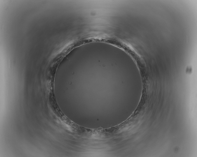 X0000092011399200709131525