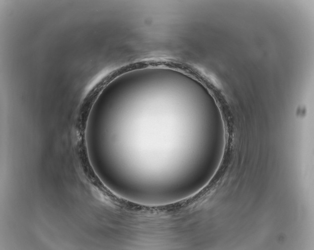 X0000092011400200709131525