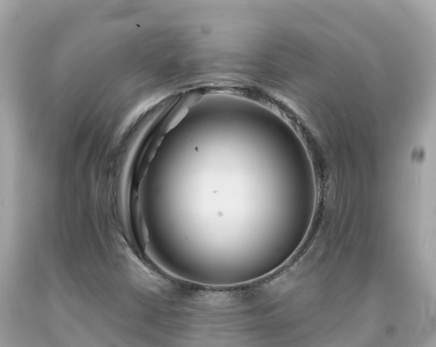 X0000092011402200709131525