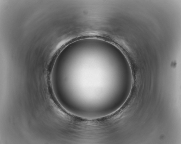 X0000092011404200709131525