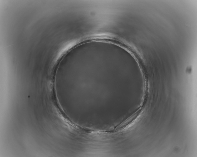 X0000092011405200709131525
