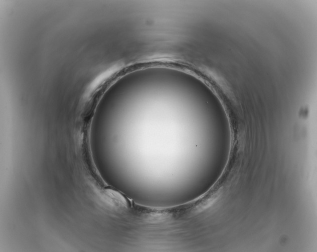 X0000092011406200709131525