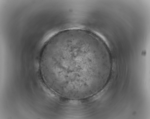 X0000092011407200709131525