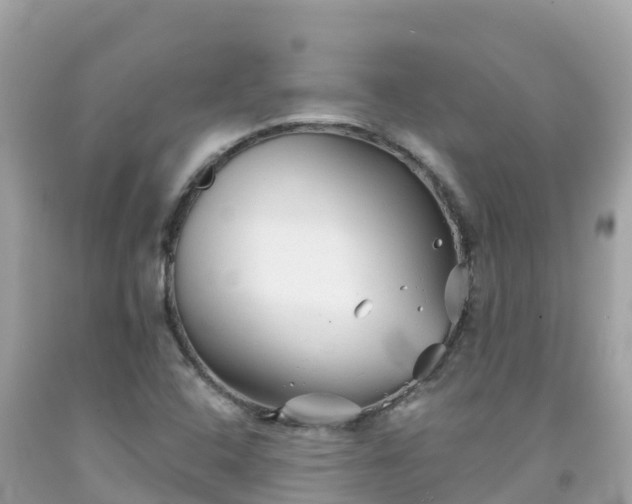 X0000092011408200709131525