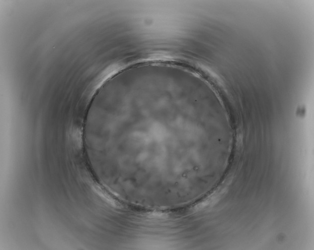 X0000092011409200709131525