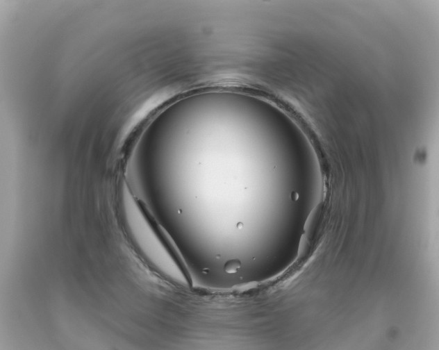 X0000092011410200709131525