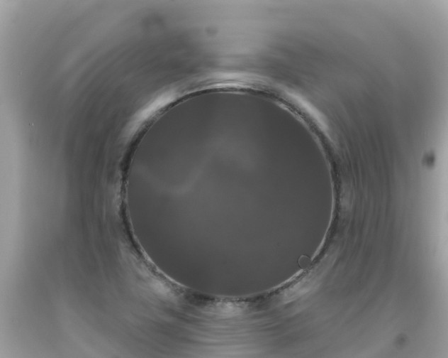 X0000092011411200709131525