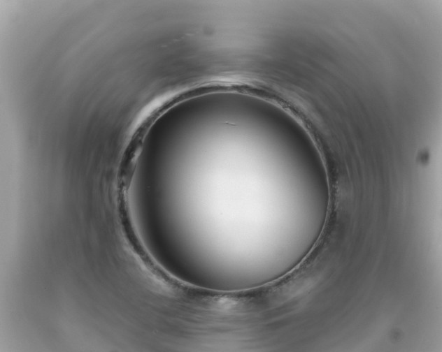 X0000092011412200709131525