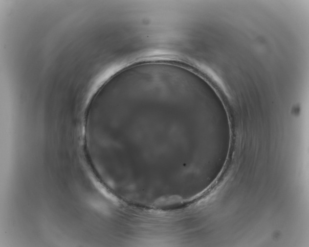 X0000092011413200709131525