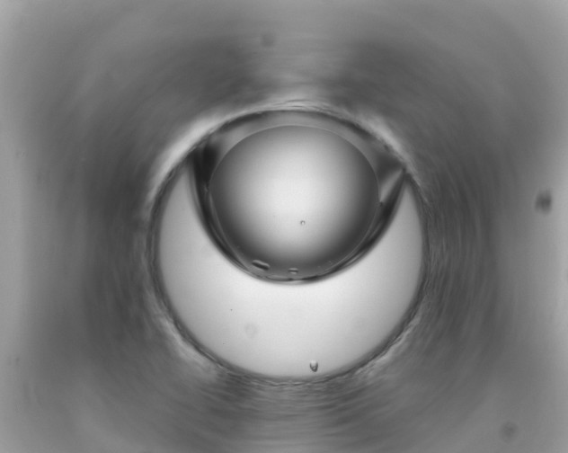 X0000092011414200709131525