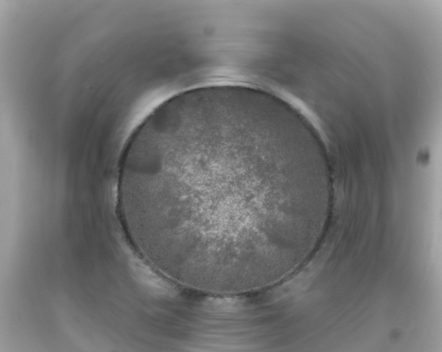 X0000092011415200709131525