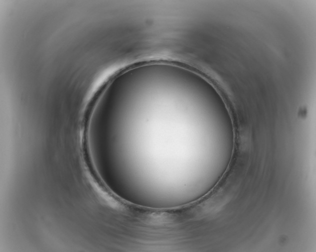 X0000092011416200709131525