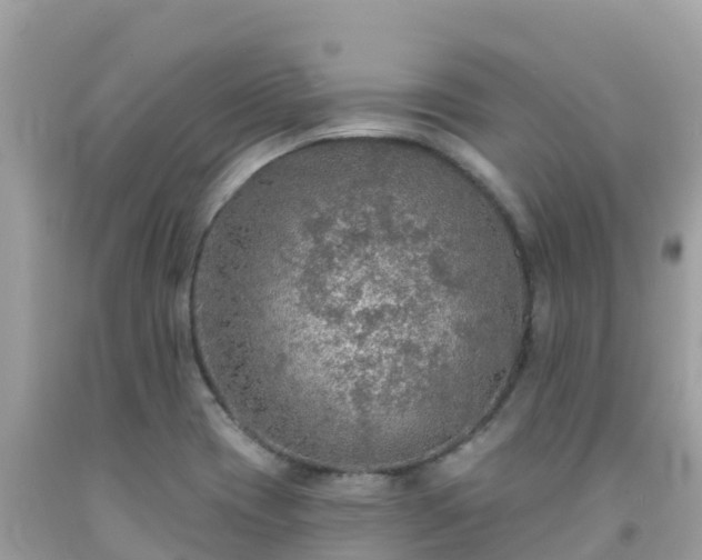 X0000092011417200709131525