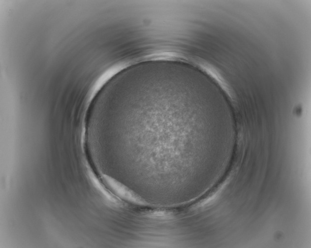 X0000092011418200709131525
