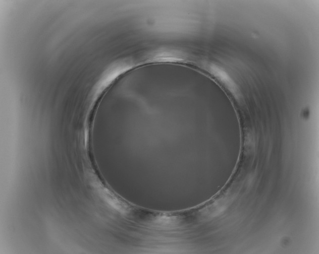 X0000092011419200709131525