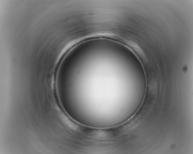 X0000092011420200709131525