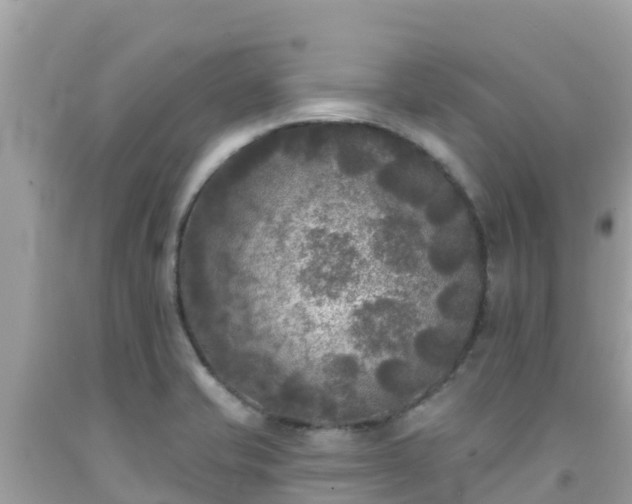 X0000092011421200709131525