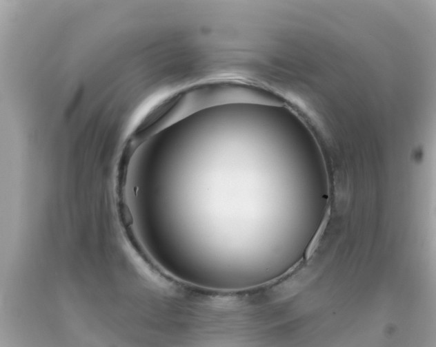 X0000092011422200709131525
