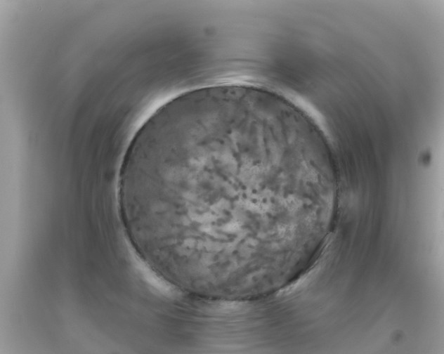 X0000092011423200709131525