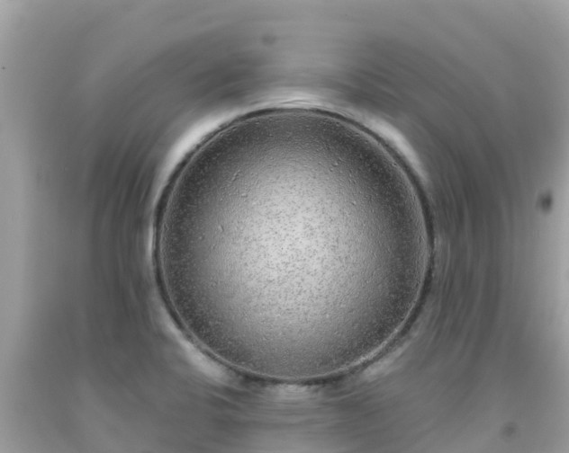 X0000092011424200709131525