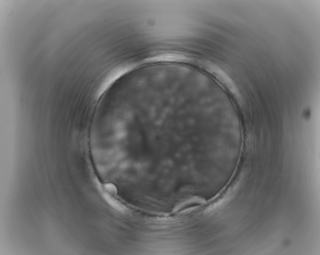 X0000092011425200709131525