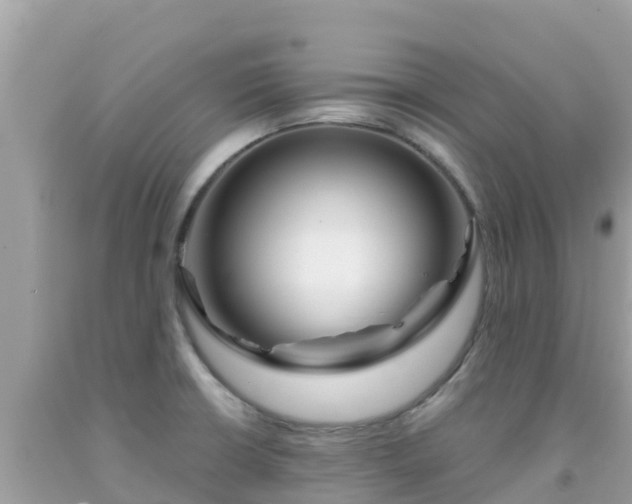 X0000092011426200709131525