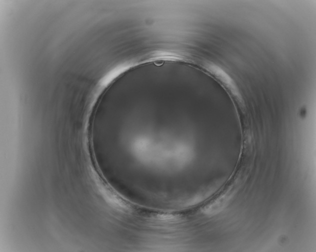 X0000092011427200709131525