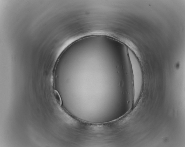 X0000092011428200709131525