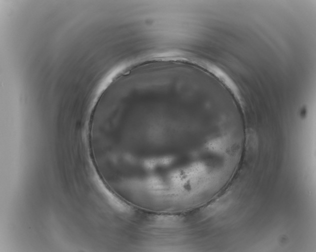 X0000092011429200709131525