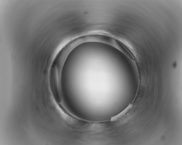 X0000092011430200709131525