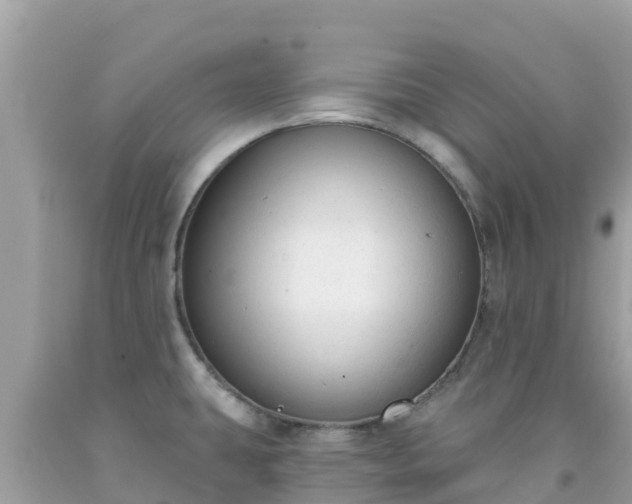 X0000092011431200709131525